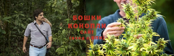 прущие крисы Волосово