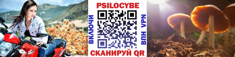 Галлюциногенные грибы прущие грибы  дарнет шоп  Чекалин 